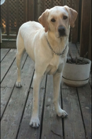 Leakey1's profile picture. 