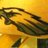 ChrisBoardman1's profile image