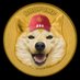 Zaytuun 👊⛽️ (@zaytuun_hg) Twitter profile photo Zaytuun 👊⛽️ (@zaytuun_hg) Twitter profile photo