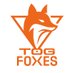 TeamOrangeGaming (@togfoxes) Twitter profile photo TeamOrangeGaming (@togfoxes) Twitter profile photo