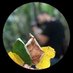 Genc Fotoğrafcı (@gencfoto41) Twitter profile photo Genc Fotoğrafcı (@gencfoto41) Twitter profile photo