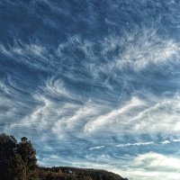Ritter π« (@pchiokey) 's Twitter Profile