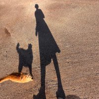 Doğacanlısı (@dogacanlisi) Twitter profile photo