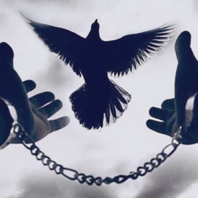 dipq6r's profile picture. كُن كَمَآ تحبُ أن تَكون 🇸🇦⚔️🇶🇦