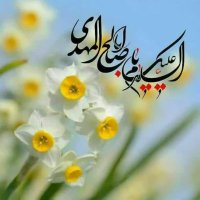 نرگس (@shja_pwr94784) 's Twitter Profile Photo