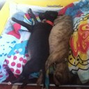 Miranda Connell - @XermiX37 - Twitter