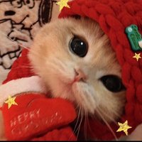 Robin (@joyruby_) 's Twitter Profile