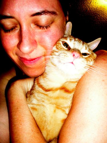 Fantasy writer! Also, cat lover, dog person, geek, artist.
