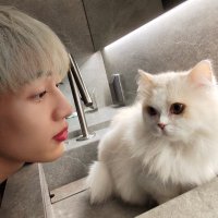V_LuvMT (@i_tiimt) 's Twitter Profile