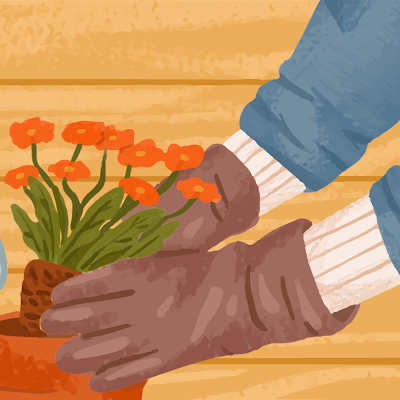 Ibra_jhuniya's profile picture. 