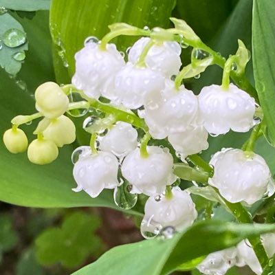 yunokyoron's profile picture. 東方神起を応援しているユノペンです。 応援は無理せず楽しく！ビギになって世界が広がりました。 最近は日常もボソボソと呟いたりしてます。 다 잘 될 거에요 fan account