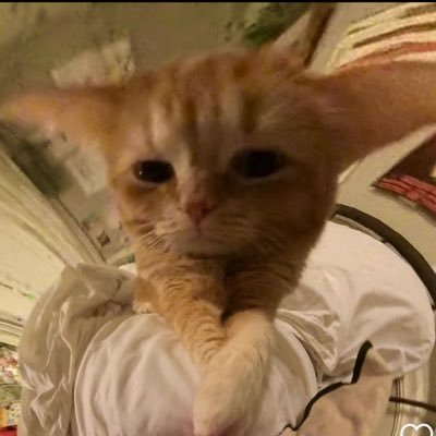 fbmaritesgf's profile picture. spiral 2002