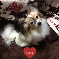 YUKI💕MUZE👑🦅❤️‍🔥 (@yuki_ranrei0325) Twitter profile photo