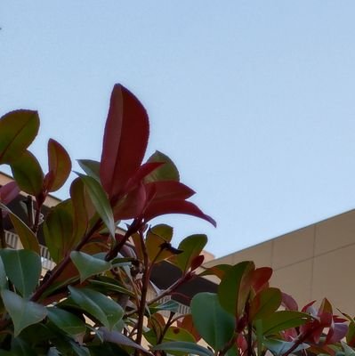 アラフォー♀AroAce、エーゴセクシャル、ASD 水族館と創作活動が好きなオタク。 運用はいつも期間限定 気になった方無言フォロー失礼します。