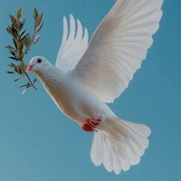 Come Back To LIFE (@_kambiri) 's Twitter Profile