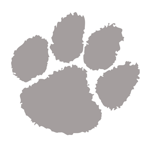 SLV Softball Profile