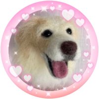 NON⭐︎ (@non021115) 's Twitter Profile Photo