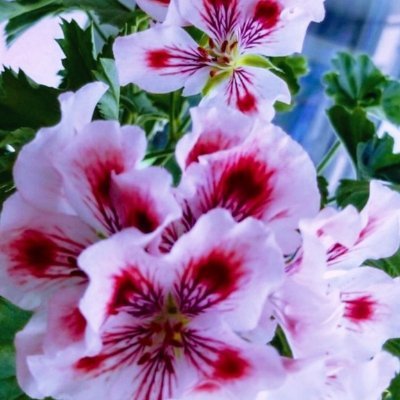 ErnestAlex34707's profile picture. 花🌼、抒情詩、美しい言葉、☘️美しい写真📸2️⃣
#SkyFamDrive