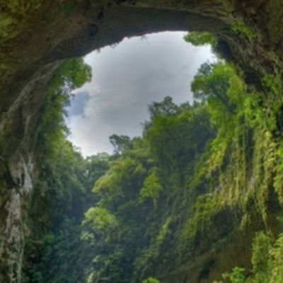 sha1988k's profile picture. I'm new here Looking friends