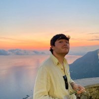 Lorenzo Castaldo (@meddlingggg) 's Twitter Profile Photo