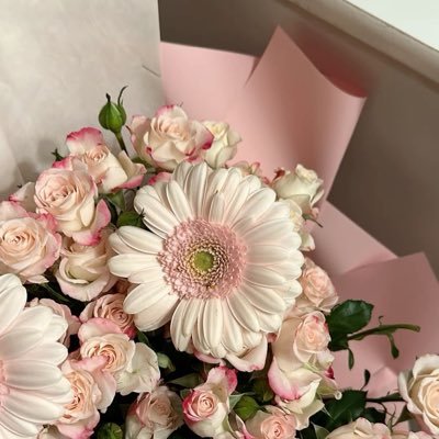 auriiiel's profile picture. 