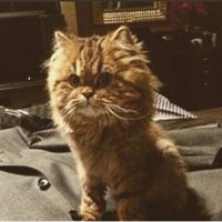 Shamim A (@shamim_a28) 's Twitter Profile Photo Shamim A (@shamim_a28) 's Twitter Profile Photo