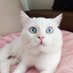 DeJaWu (@borsa_gurmesi) Twitter profile photo DeJaWu (@borsa_gurmesi) Twitter profile photo