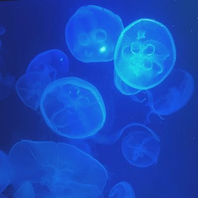 □さんのプロフィール画像