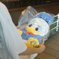 りっぴー (@t_rippy_0) 's Twitter Profile Photo りっぴー (@t_rippy_0) 's Twitter Profile Photo