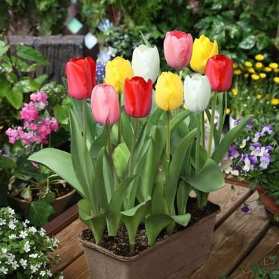 Wg3U240hhxwEASm's profile picture. チャンミンが大好き💜もちろんユノも好き♥️２人の東方神起を応援しています。
トンペンの皆さんと繋がれたらと思いTwitterを🔰
よろしくお願いします。
嬉しいこと😍チャンミンとお誕生日が一緒です🍀