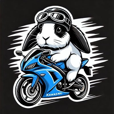 山口県でバイクYouTubeやってます。 kawasaki Ninja650、Volkswagen The Beetle 2.0 R-Line(2020年東京→山口県) バイク、オーディオ、お酒が趣味です。