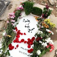Peyman Taheri (@taftimahdi20) 's Twitter Profile