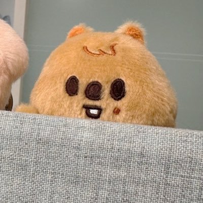 flowers__07's profile picture. skz 🐿️🦙(身内🐺🐥🦊)/ IVE 🐥🐱/ 25↑ ※平日は仕事のためお返事遅くなります🙇‍♀️