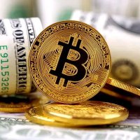 Your mind is your capital (@mohamed15071409) 's Twitter Profile