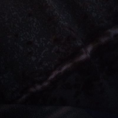 UGCwithhanka's profile picture. 🇨🇦based UGC creator.