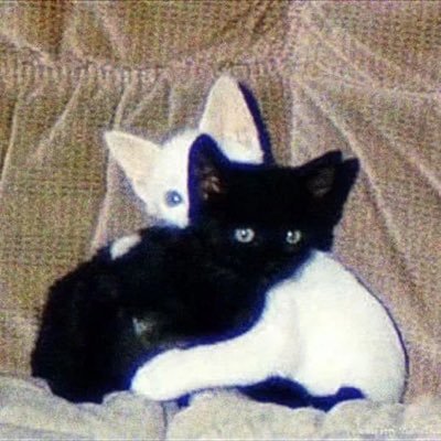 Sad sweet potatoさんのプロフィール画像