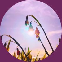 𓍯*優空のいたしゃん (@kakoimasora) 's Twitter Profile Photo