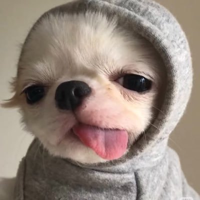 imlookmoo's profile picture. 