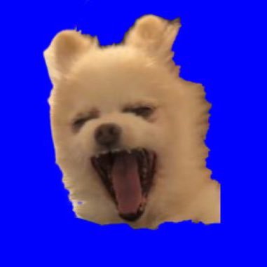 Colonel_Honer's profile picture. 能力不足