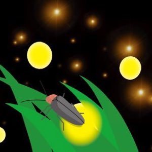 hiyomismile1357's profile picture. 【一色ほたるの里 駐車場管理隊(ボランティア)】･蛍が飛ぶ時期の情報✴️ もーん父さん・みのワン・武田菱丸 大好き♥️ 食べるの大好き･新しいお店を自分で開拓出来ない民🙄 ONE OK ROCK🎶若返りたいババァです🙇‍♀️