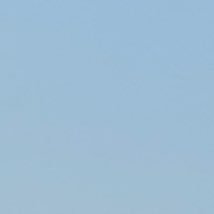 P91Uu's profile picture. 