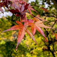 ういこ🍁💃 (@uiko0608) 's Twitter Profile Photo ういこ🍁💃 (@uiko0608) 's Twitter Profile Photo