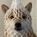 영일 (@901worst) Twitter profile photo 영일 (@901worst) Twitter profile photo