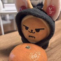 みかん🍊 (@yonjn_txt) 's Twitter Profile