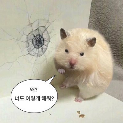 @jip211029