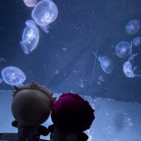 まち (@tagsmmsr_) 's Twitter Profile Photo