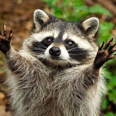 qv2yu's profile picture. 02예요