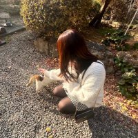 日常 (@minmin_nichijo) 's Twitter Profile