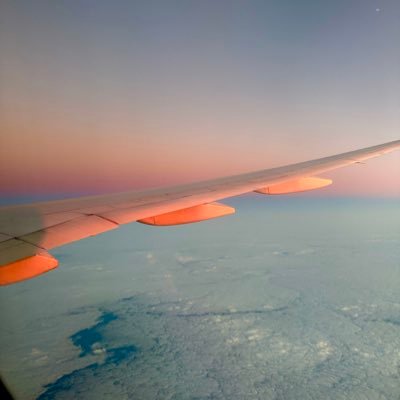 giovbrag's profile picture. Advogada