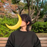 月🌙 (@lunakun_moonlit) Twitter profile photo